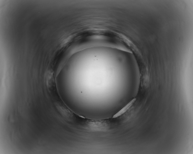 X0000085300521200703091435