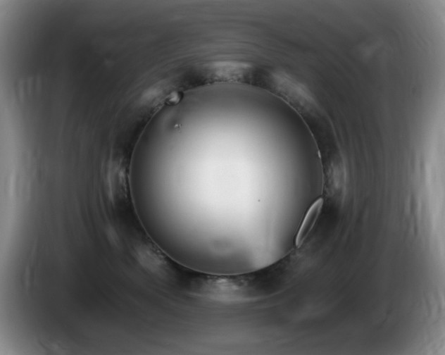 X0000085300522200703091435