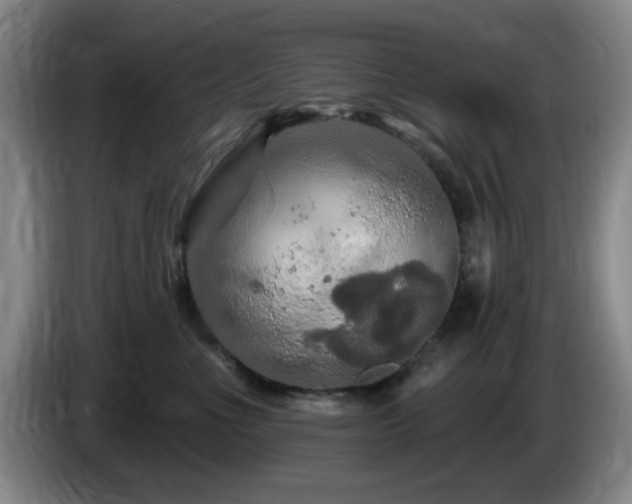 X0000085300523200703091435