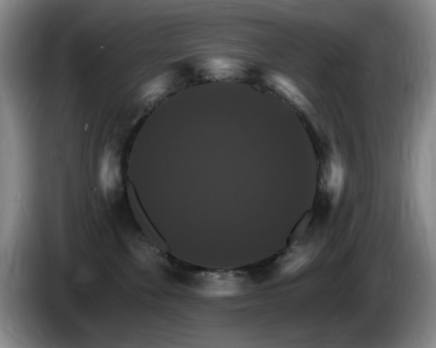 X0000085300524200703091435