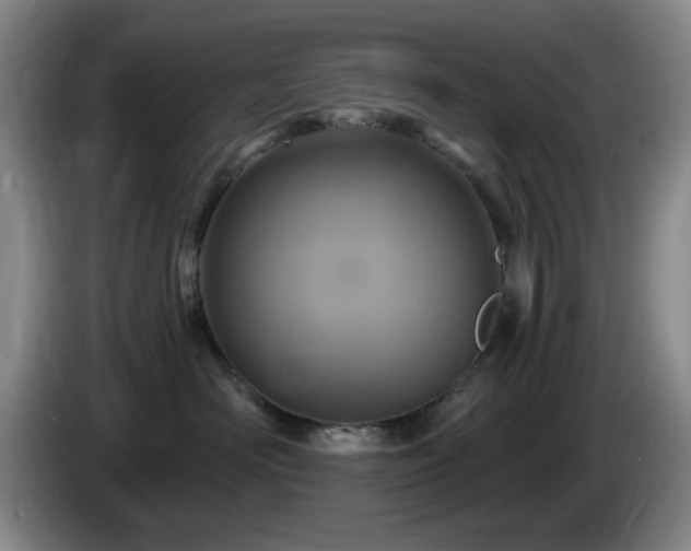 X0000085300526200703091435