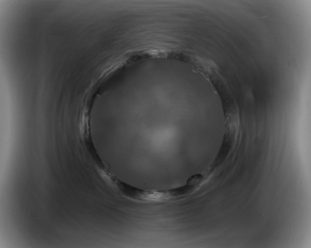 X0000085300527200703091435