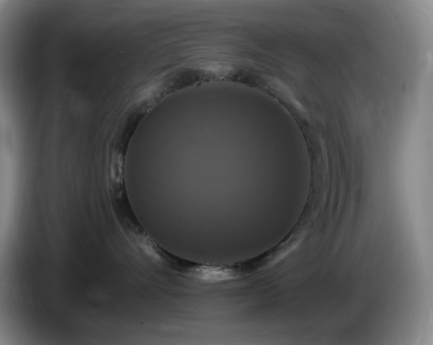 X0000085300528200703091435