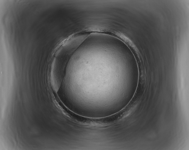 X0000085300529200703091434