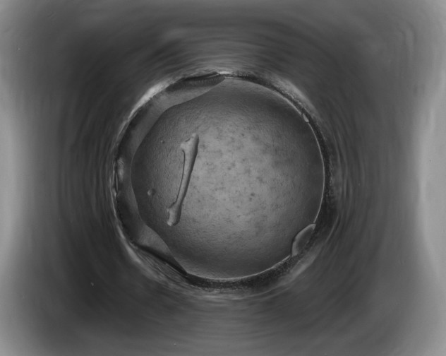 X0000085300530200703091434