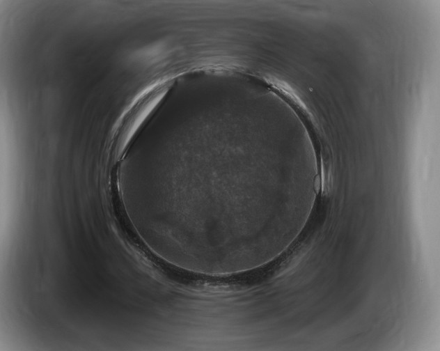 X0000085300531200703091434