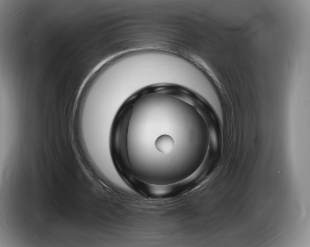 X0000085300532200703091434