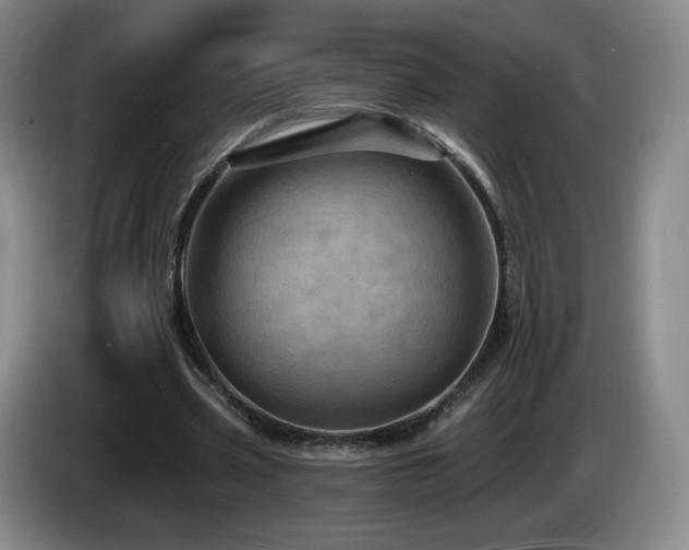 X0000085300533200703091434