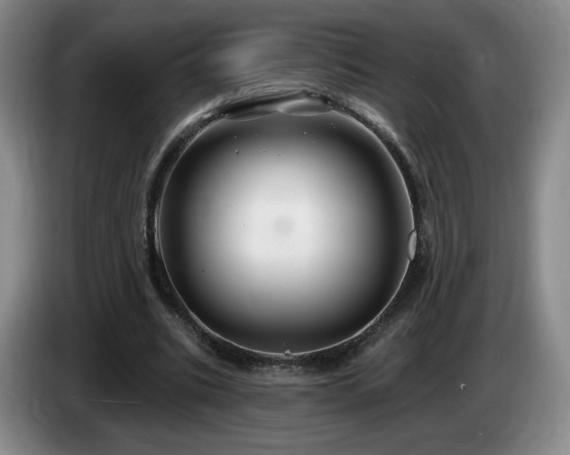 X0000085300535200703091434