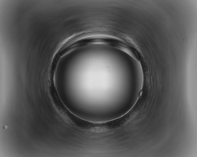 X0000085300536200703091434