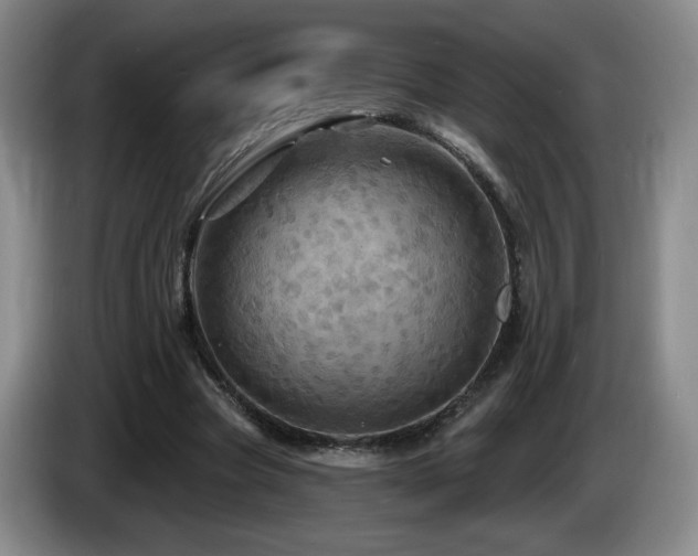 X0000085300537200703091434