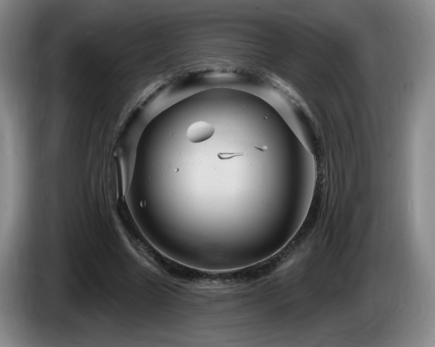 X0000085300538200703091434