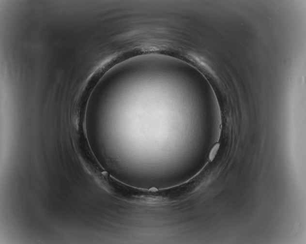 X0000085300539200703091434