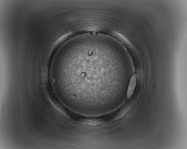 X0000085300540200703091434