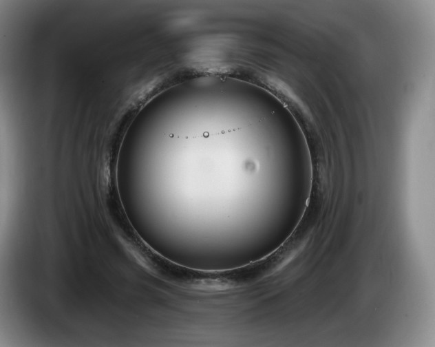 X0000085300541200703091434