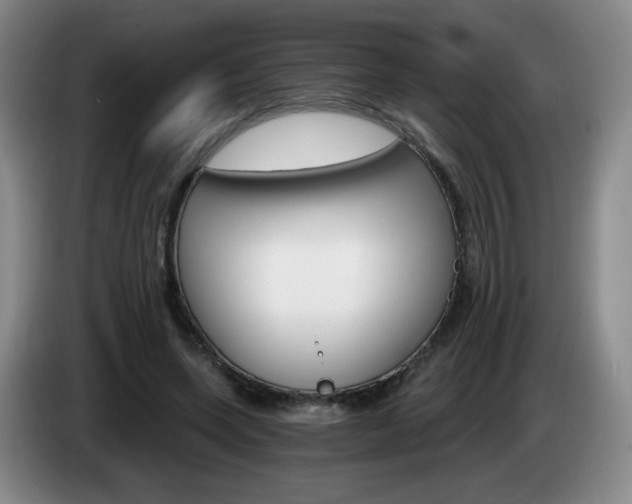 X0000085300543200703091434