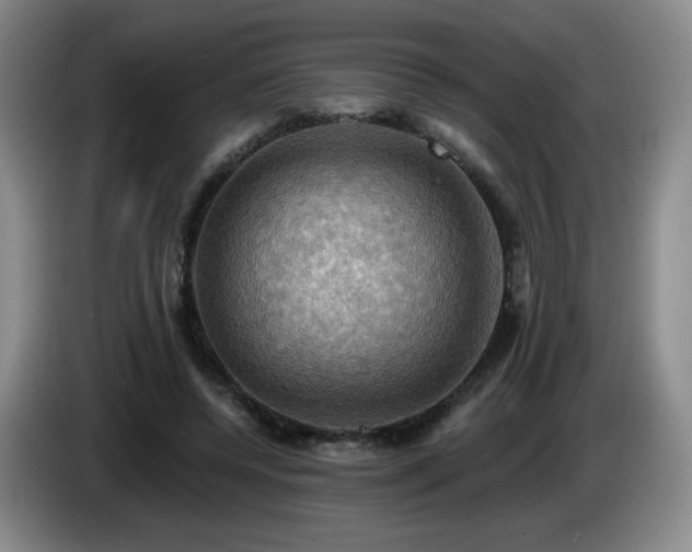 X0000085300544200703091434