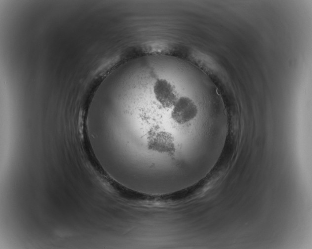 X0000085300545200703091434