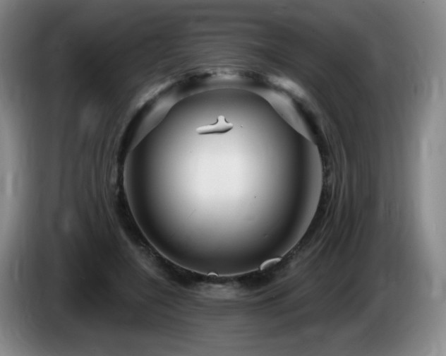 X0000085300548200703091434