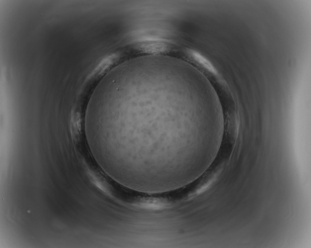 X0000085300549200703091434