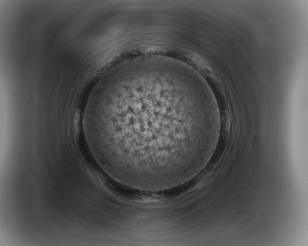 X0000085300550200703091434