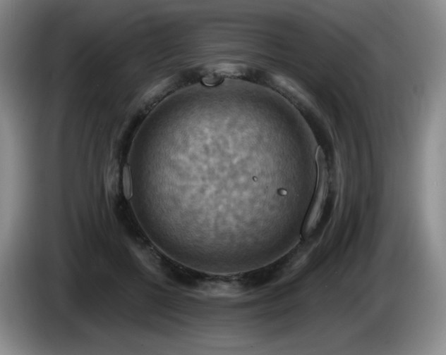 X0000085300552200703091434