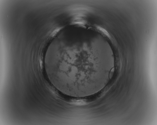 X0000085300553200703091434