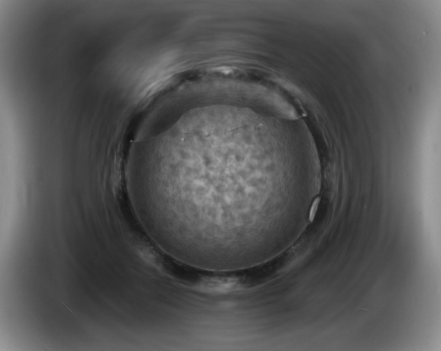 X0000085300554200703091434