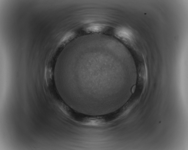 X0000085300555200703091434