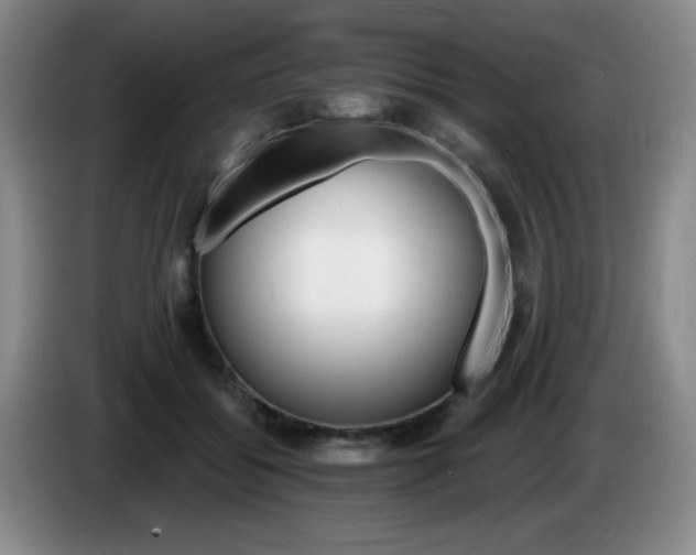 X0000085300556200703091434