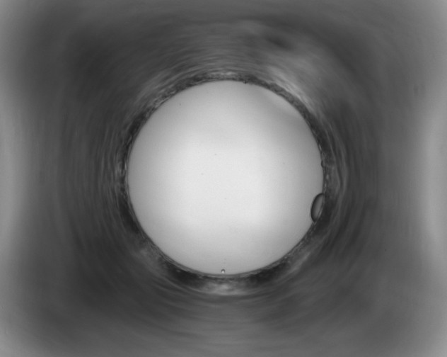 X0000085300557200703091434