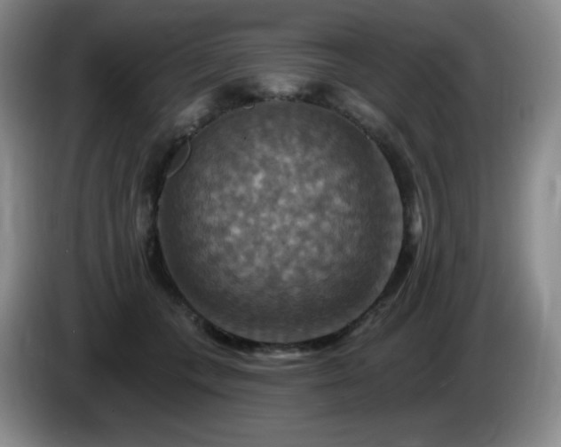 X0000085300559200703091435