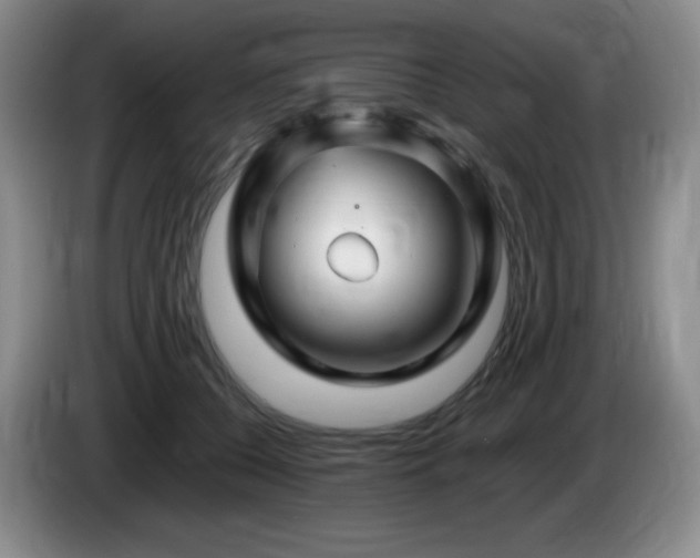 X0000085300560200703091435