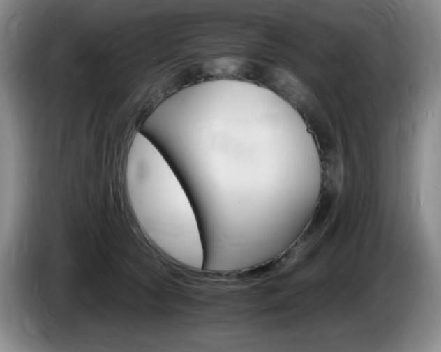 X0000085300561200703091435