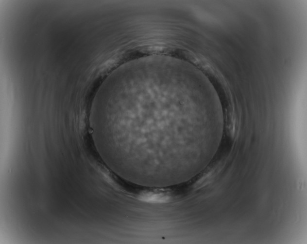 X0000085300563200703091435