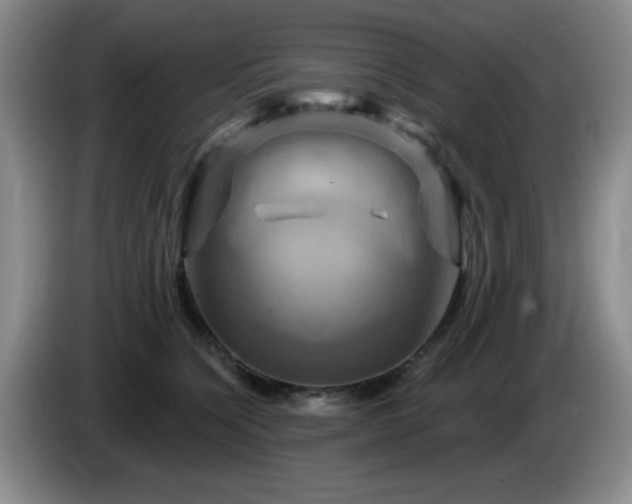 X0000085300564200703091435