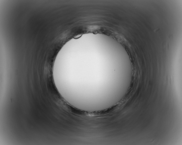 X0000085300565200703091435