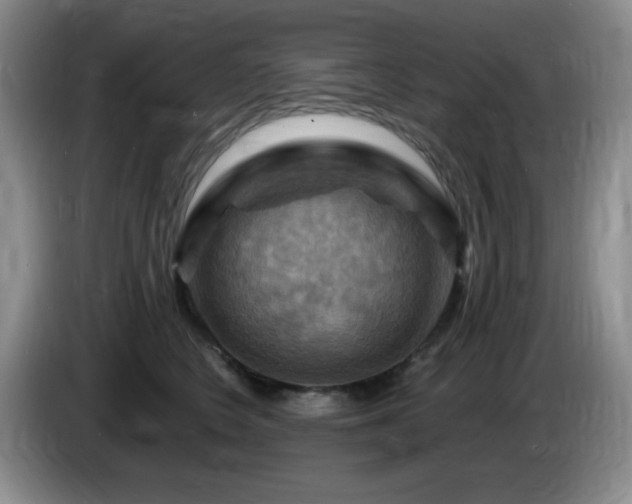 X0000085300566200703091435