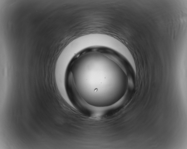 X0000085300570200703091435