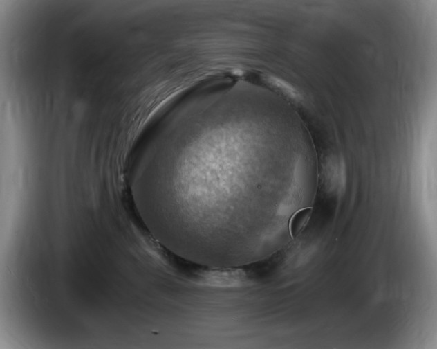 X0000085300571200703091435