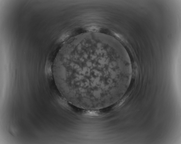 X0000085300573200703091435