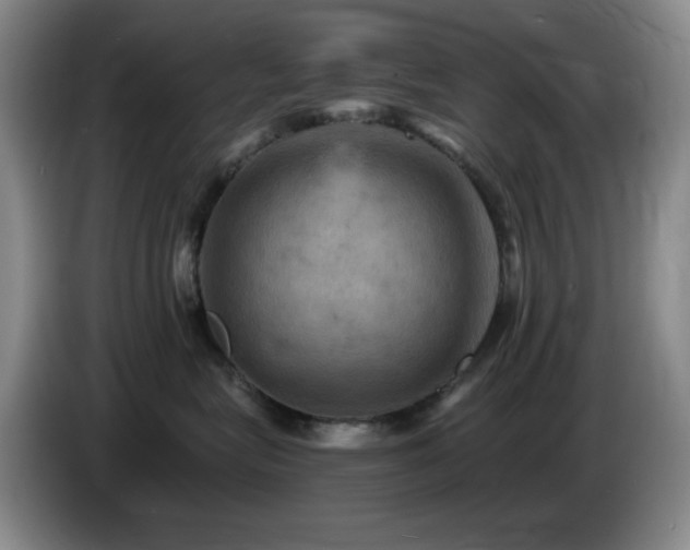 X0000085300575200703091435