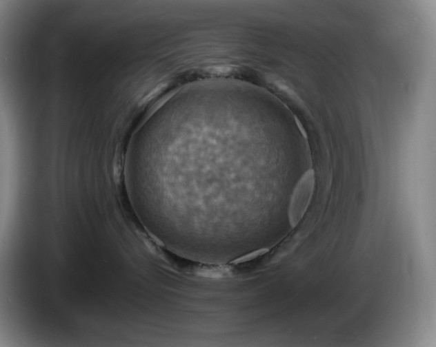 X0000085300576200703091435