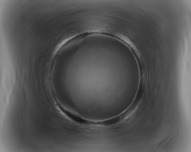 X0000085300577200703091434