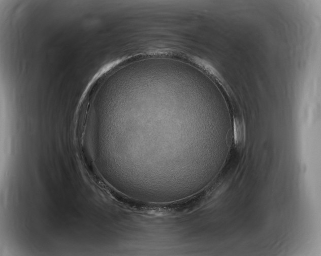 X0000085300579200703091434