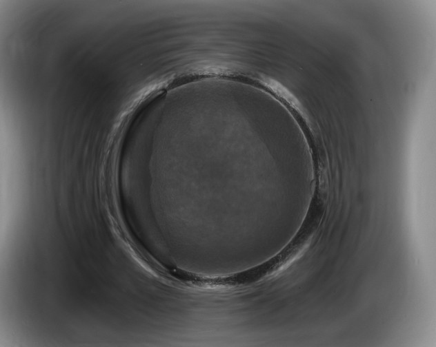 X0000085300581200703091434