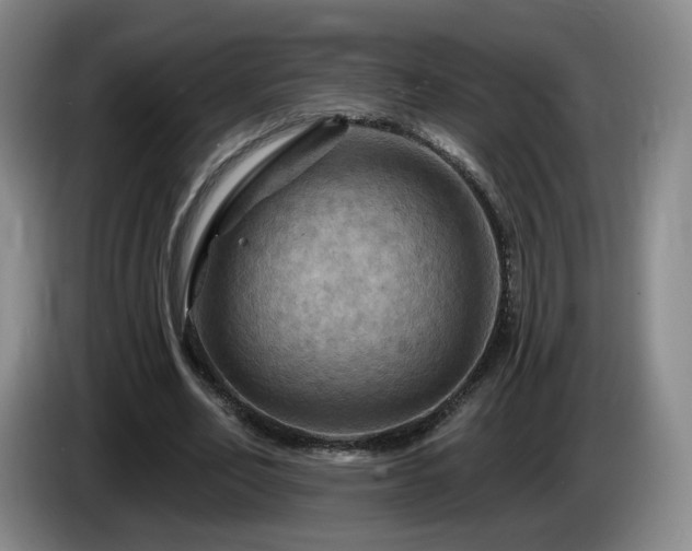 X0000085300582200703091434