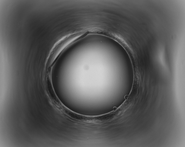 X0000085300583200703091434