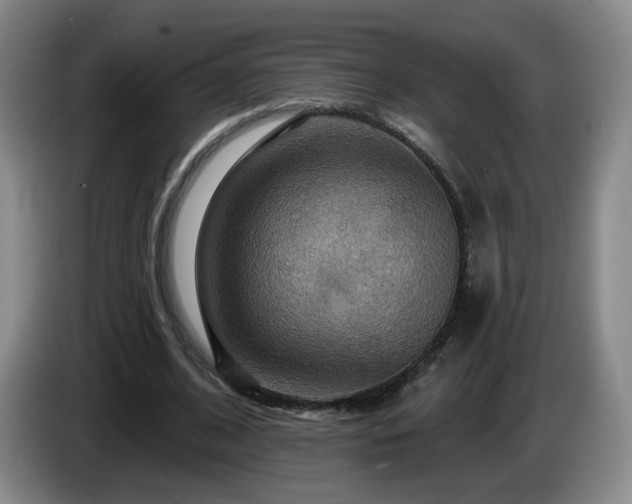 X0000085300584200703091434