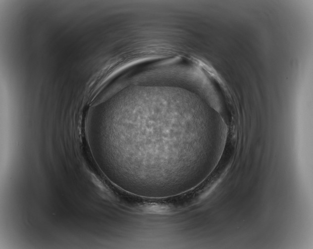 X0000085300585200703091434